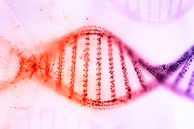 Purple and orange DNA