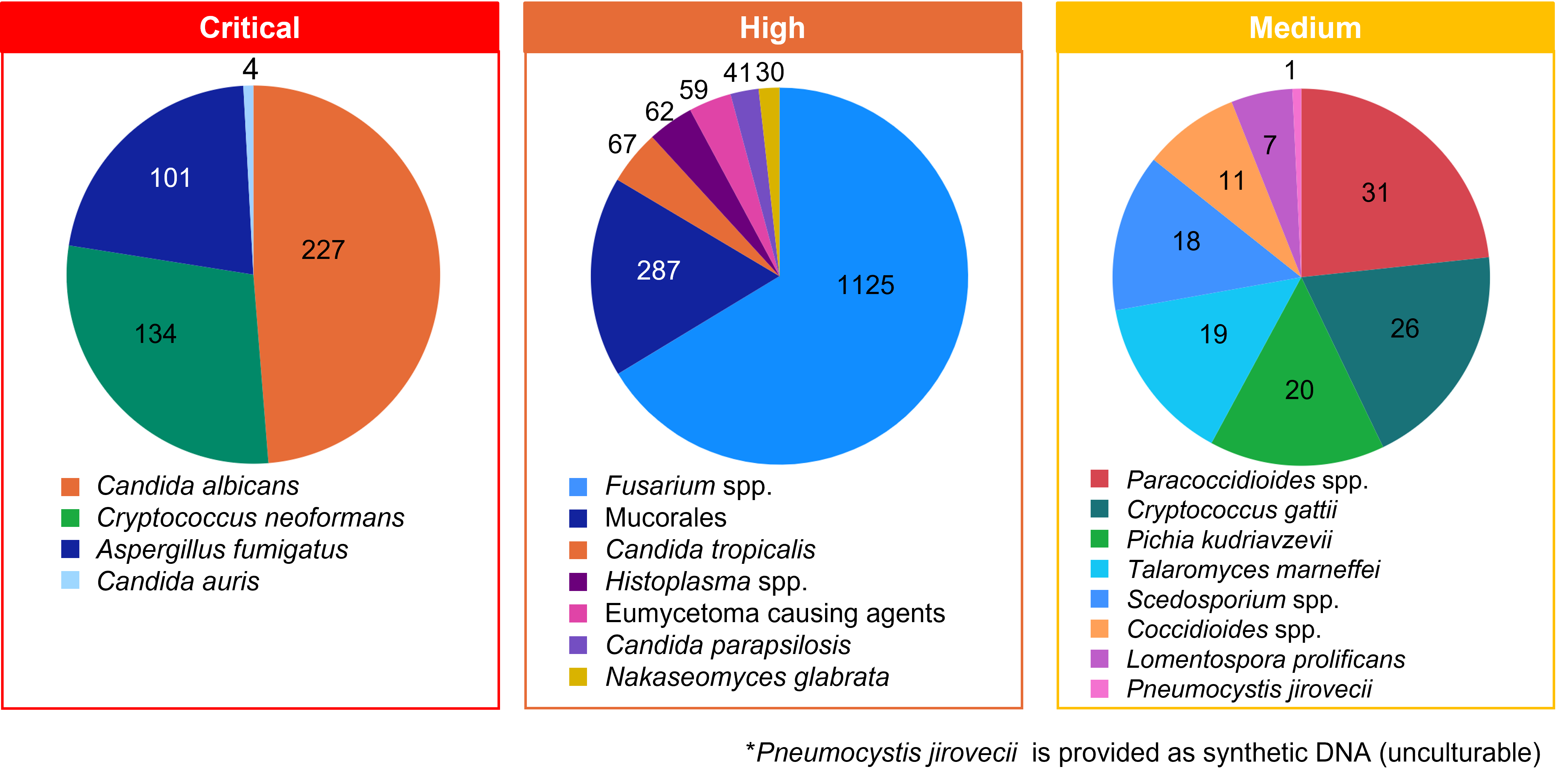 WHO Releases Priority Fungal Pathogens List ATCC   Atcc Who Fungal Pathogens Final Image 