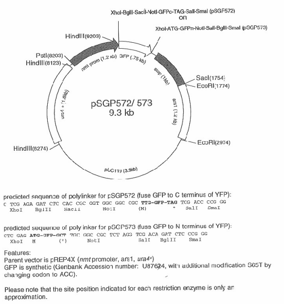 87720 vector map