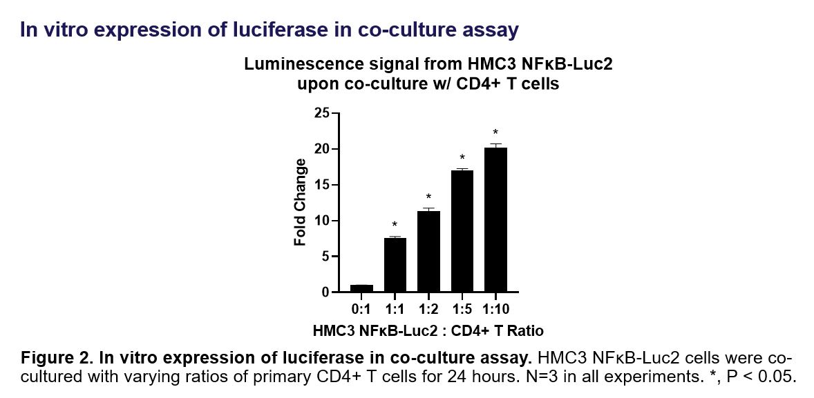 Application data HMC3 NFkB-Luc2